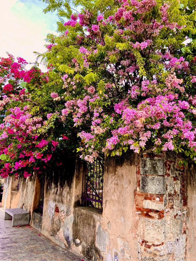 Boutique Hotel Casa Grande Santo Domingo Bagian luar foto